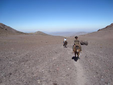 Chile-Northern Chile-Norte Chico Condor Trail